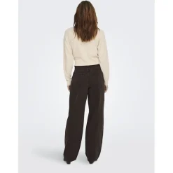 Only dame jeans ONLGIANNA - Dark Brown denim